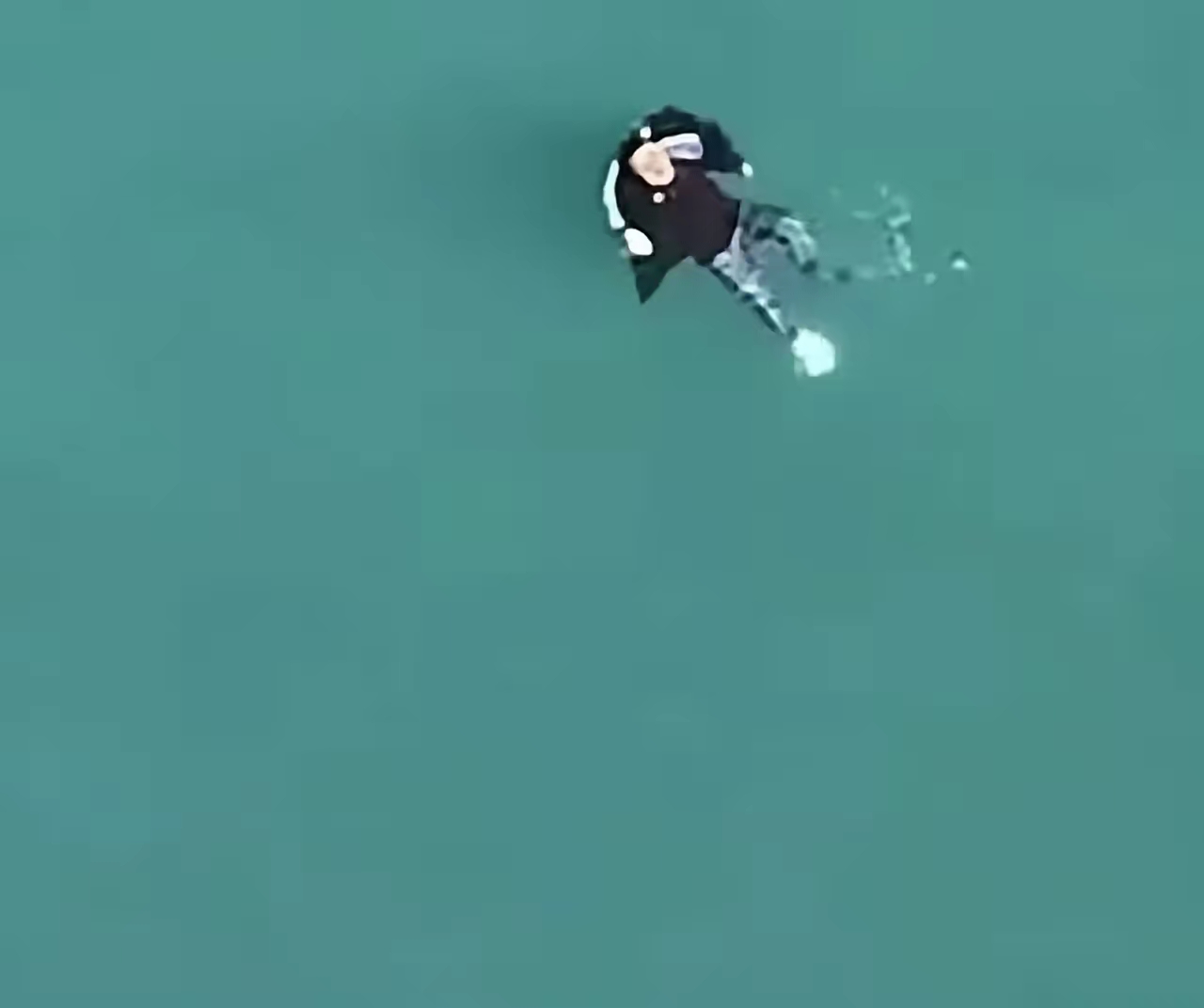 爆冷!游泳强队意外出局震惊全场的简单介绍 爆冷!游泳强队意外出局震惊全场的简单介绍