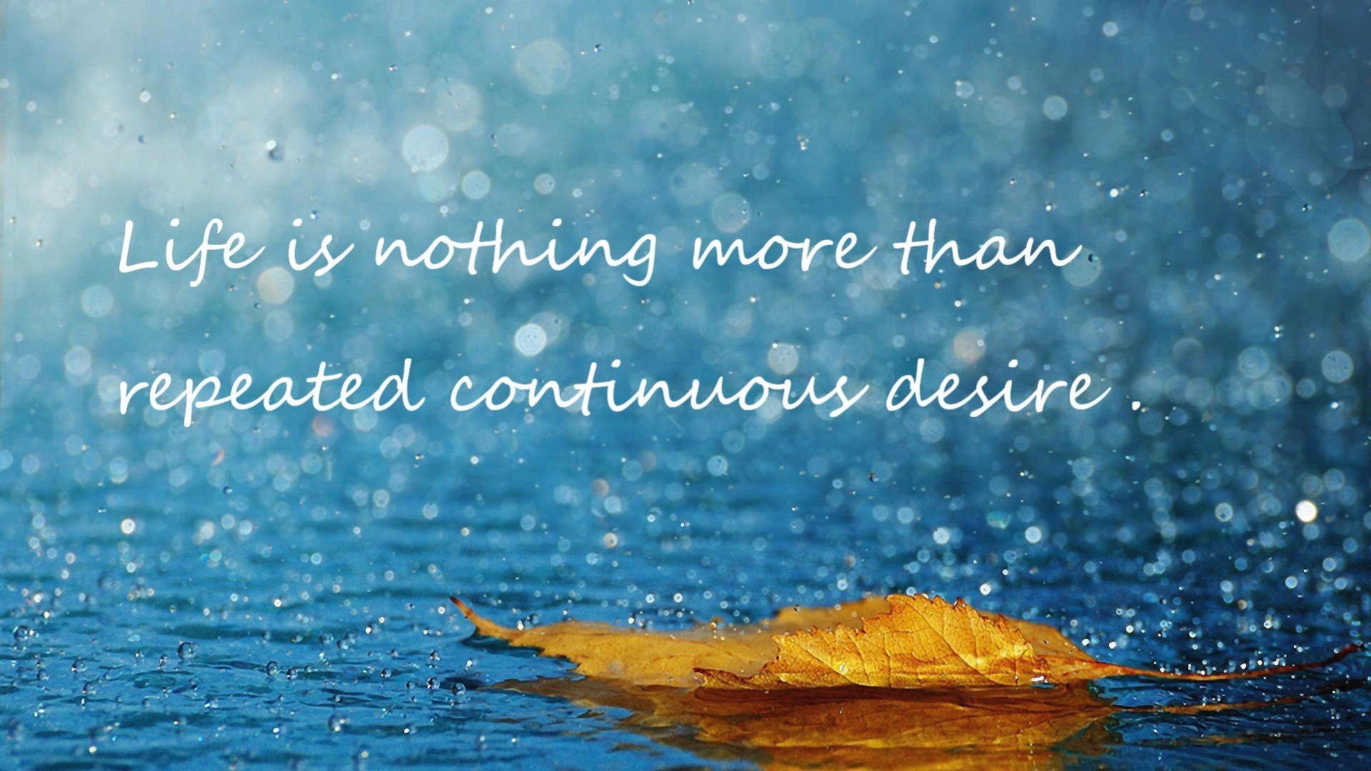 时空裂缝里的外滩哨声,当NBA雷霆队客场掀翻上海大鲨鱼