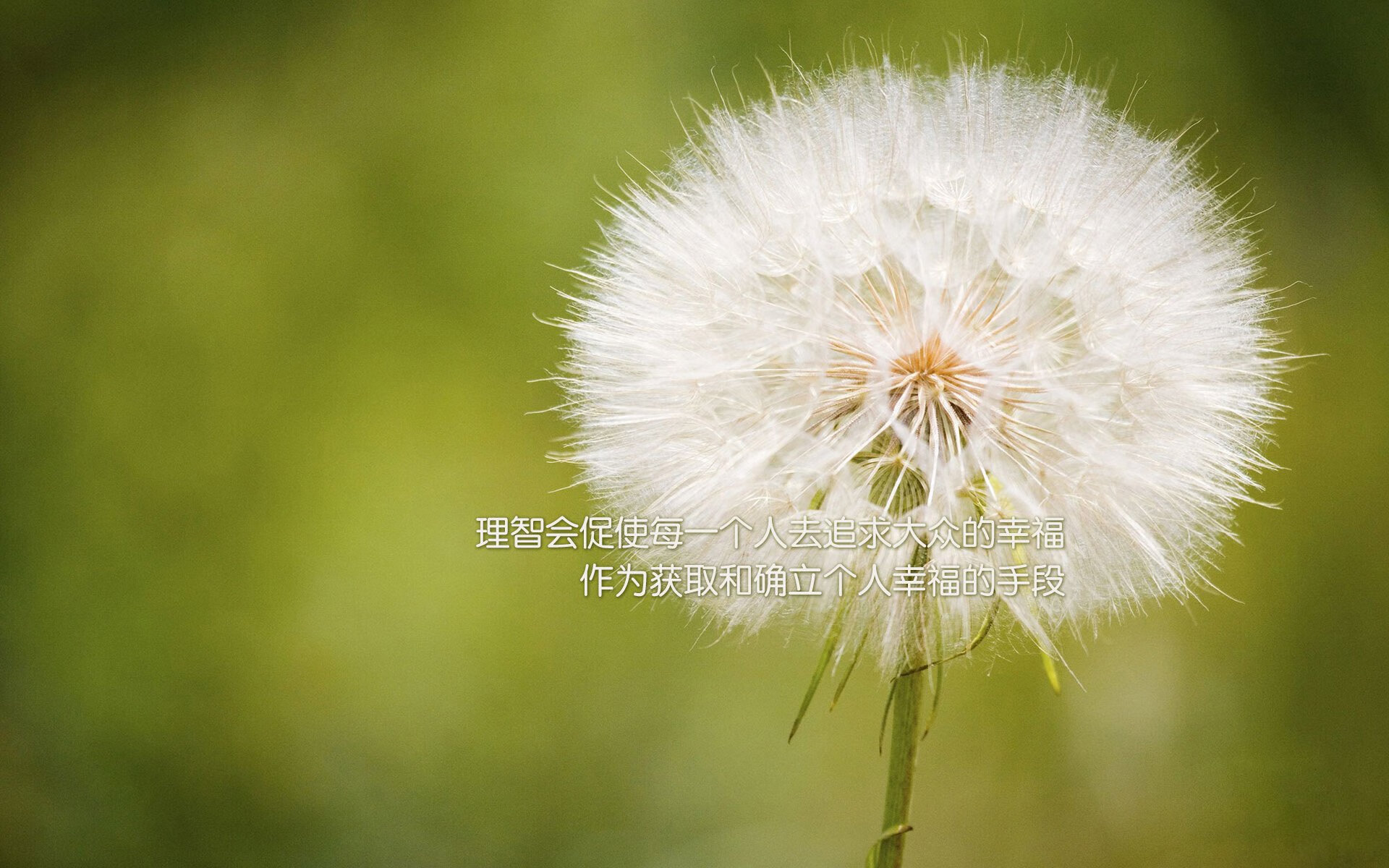 爱游戏在线-红龙烈焰焚坚盾，郁金香盛放废墟上—当威尔士的炮火轰开葡萄牙，范戴克于美加墨加冕为王