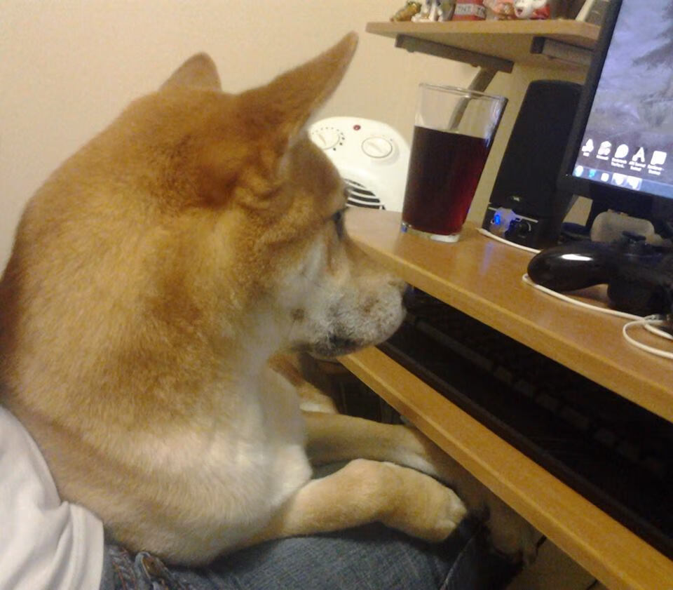 爱游戏下载-英格兰阴影下的意大利之舞，若日尼奥与雷恩改写欧战叙事