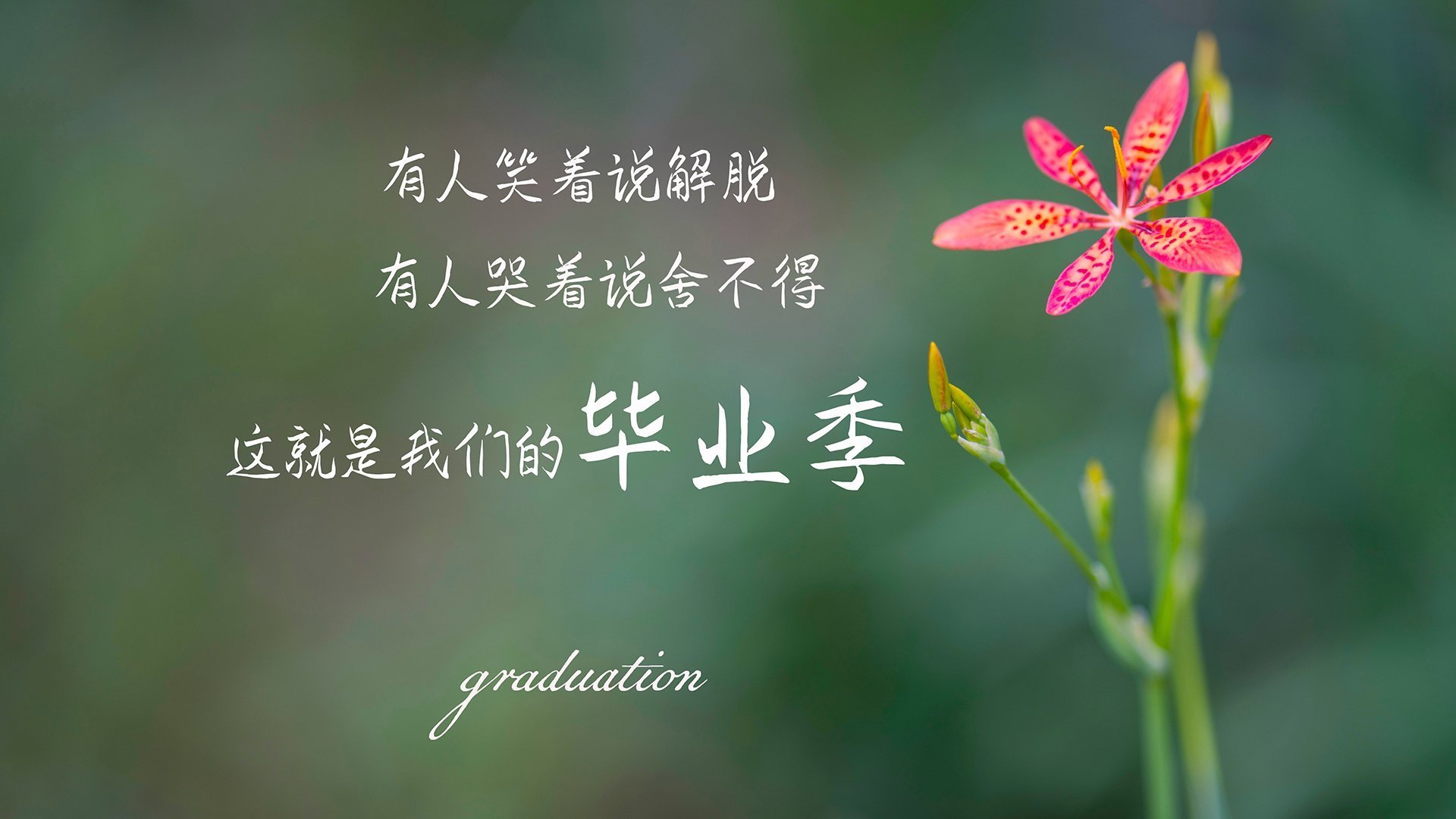 体育的冷热辩证法，从NBA季后赛到那不勒斯的爆冷奇迹