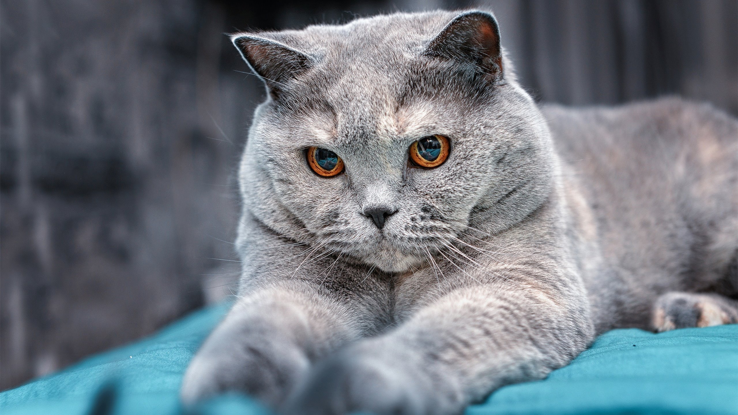 双重爆冷，英雄觉醒，昨夜两场赛事改写剧本