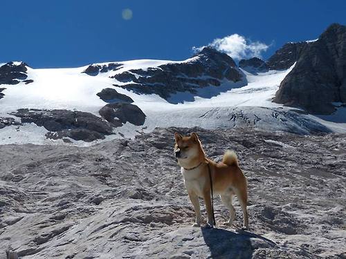 爱游戏下载-戈贝尔的2026预言，在杭州想起明年的世界