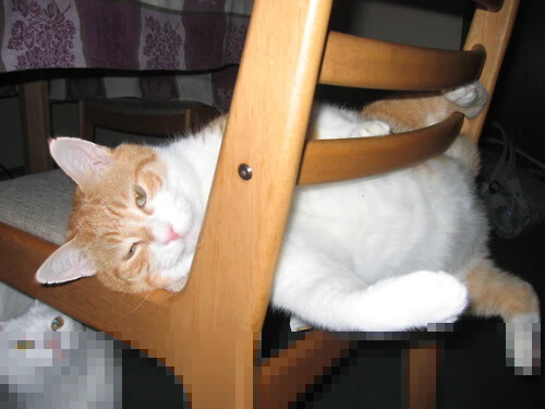 强压与接管，篮球赛场上的唯一性瞬间