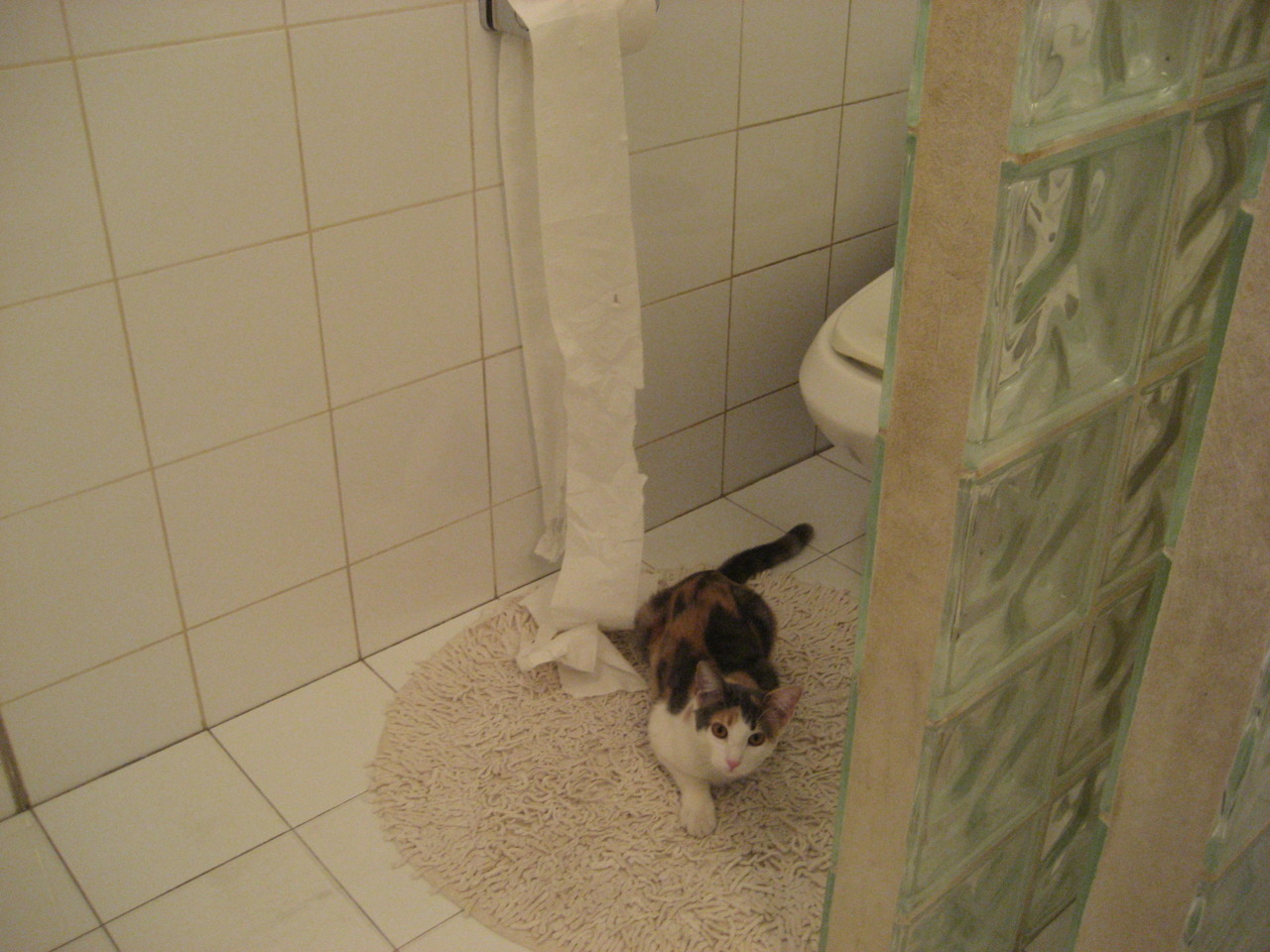 爱游戏下载-唯一闪光！迪巴拉绝杀乾坤倒转，曼城凭一击终结皇家社会