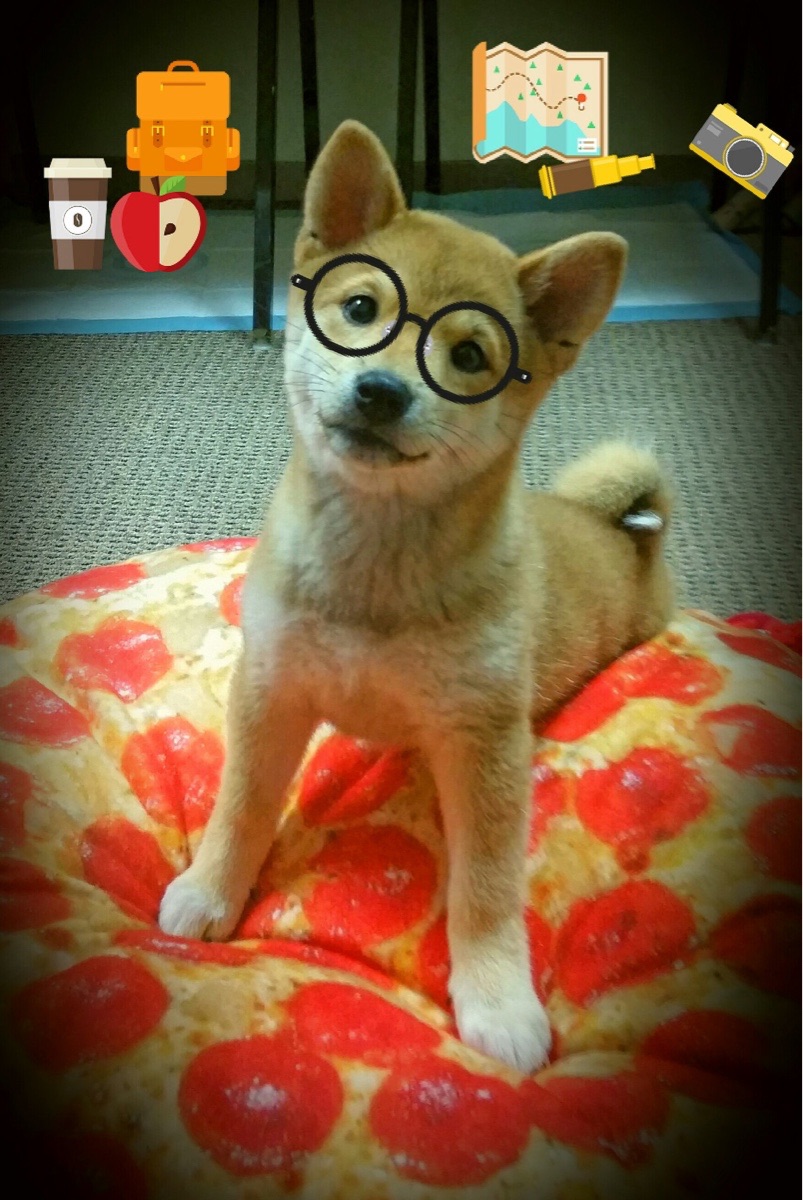 爱游戏娱乐-风暴眼与雕塑家，班凯罗的42分如何将魔术变为东部的不可能拼图