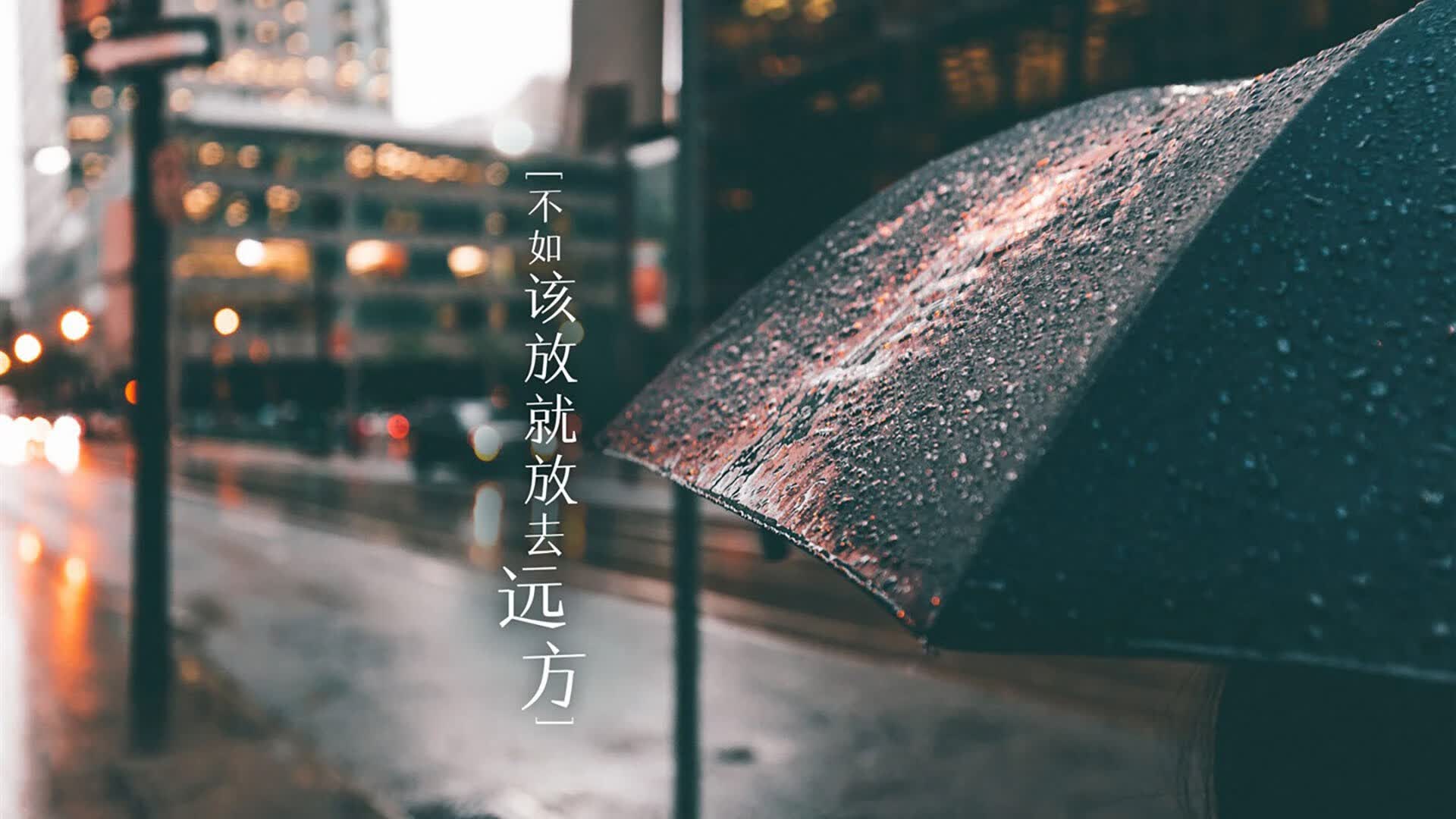 橙衣折戟,高原雄鹰啸傲D组,厄瓜多尔三球横扫荷兰,拉什福德剑指苍穹